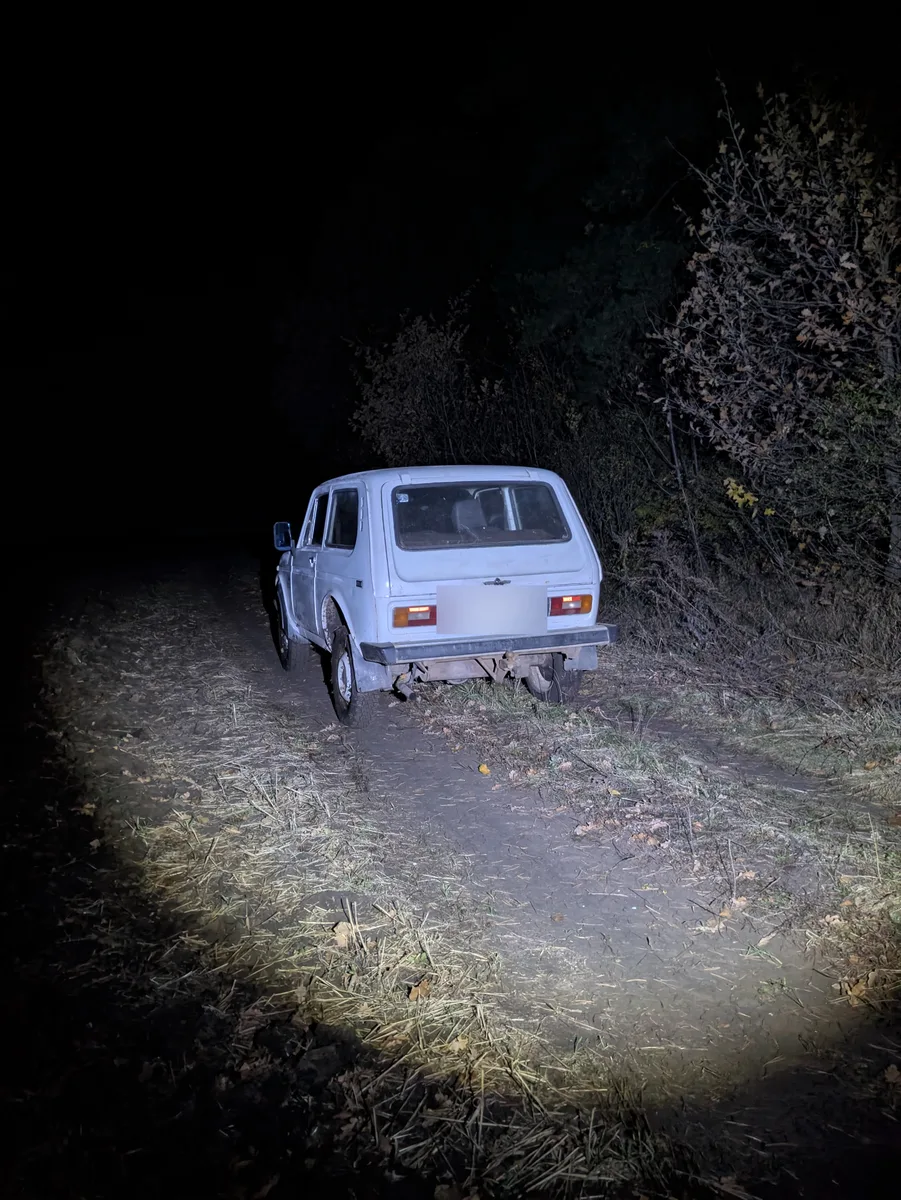 Lada (ВАЗ) 2121 (4x4) I, 1990