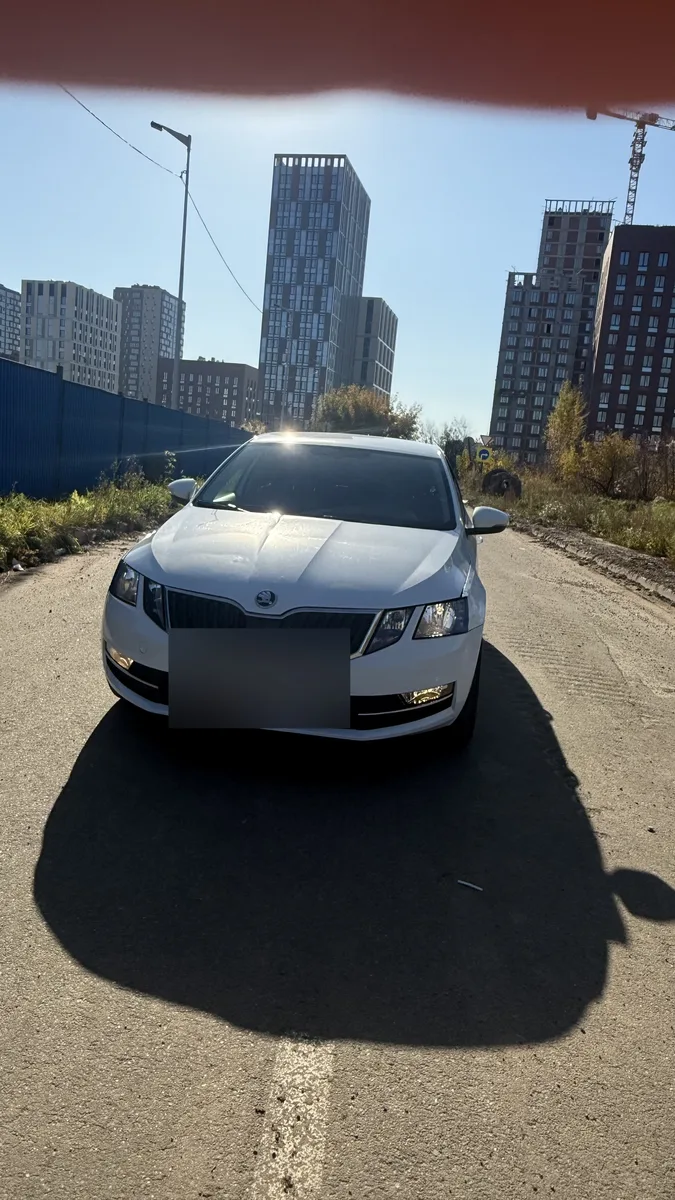Skoda Octavia III (A7) Рестайлинг, 2019