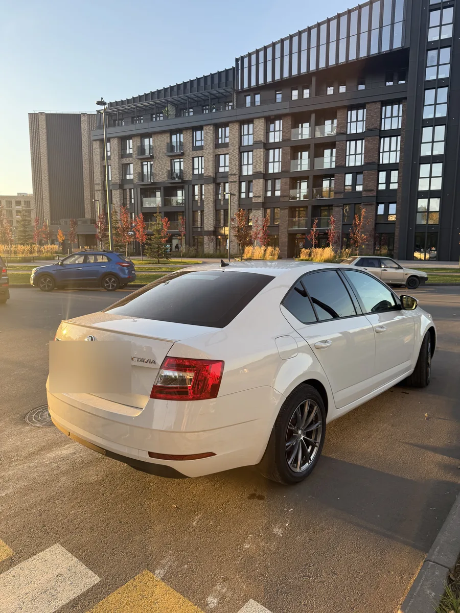 Skoda Octavia III (A7) Рестайлинг, 2019