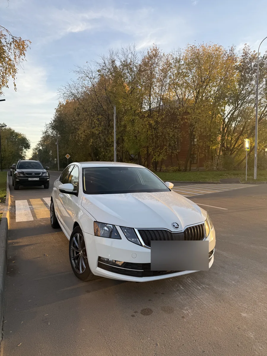 Skoda Octavia III (A7) Рестайлинг, 2019