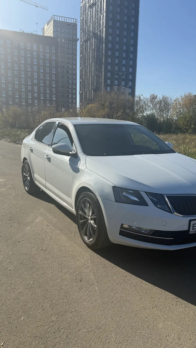 Skoda Octavia III (A7) Рестайлинг, 2019