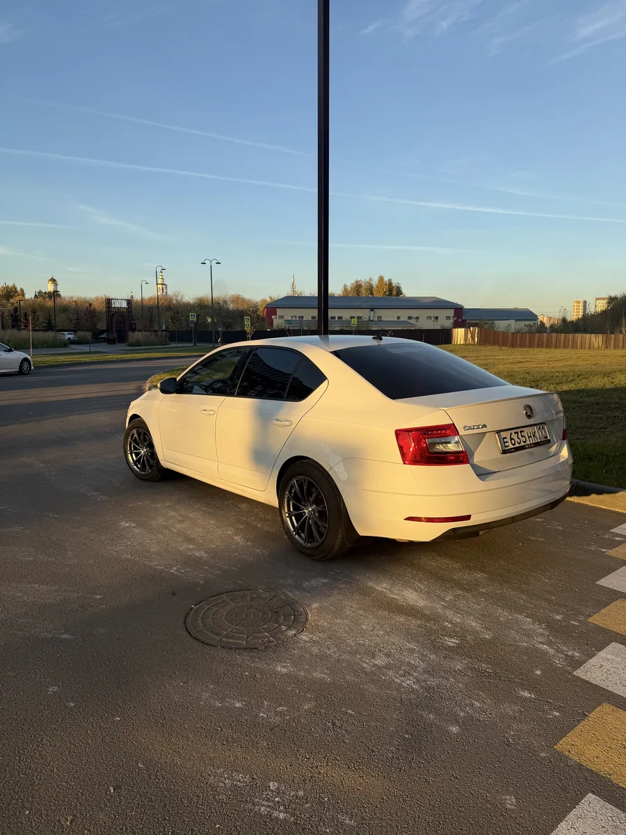 Skoda Octavia III (A7) Рестайлинг, 2019